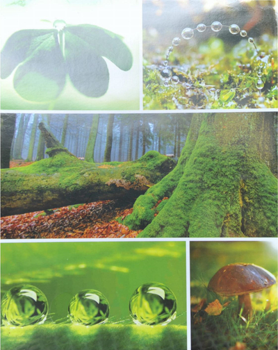 Album fotosh Poldom MM, 10x15cm, 200 foto, shumëngjyrësh