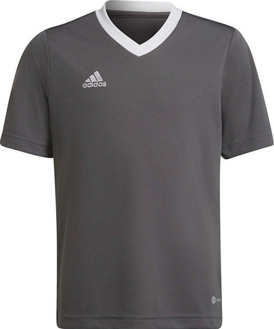 Maicë për fëmijë Adidas Entrada 22 JSY Y, 116 cm, e hirtë