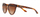 Syze dielli Ralph Lauren mRL0090, të kafta/arta