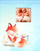 Album fotografish vetëngjitës Fox, 60 faqe, 25.5x29 cm, shumëngjyrësh