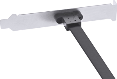 Braket PC InLine 33446H, port USB C 3.1, kabllo 50cm, i zi