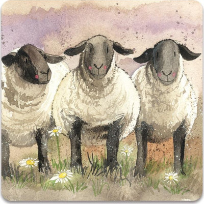 Magnet dekorativ Teka FM113 3 Sheep, për frigorifer, me shumë ngjyra