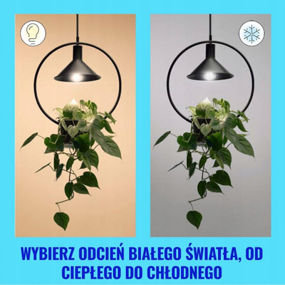 Llambë inteligjente WiZ A60 LED, E27, 4.3W, 903lm, CCT, e bardhë