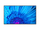 Ekran NEC MultiSync M491, 48.5", 4K UHD, 500 cd/m², i zi