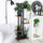 Stendë për lule Vilde Plant Stand, 5 kate, 116.5 cm, metal i zi me dru të errët