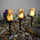 Lampë kopshti solare LED Growth ZD50U, dekorative, IP67, e bardhë e ngrohtë