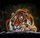 Set mozaiku me diamant Tiger, figurë tigër, shumëngjyrësh