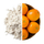 Creaport 600g Portokall