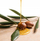 Vaj argani Biovène Argan Oil, 30ml, 100% natyral, për fytyrë, trup edhe flokë