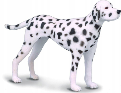 Figurinë Collecta Dalmatian Dog M, qen dalmatian, me shumë ngjyra