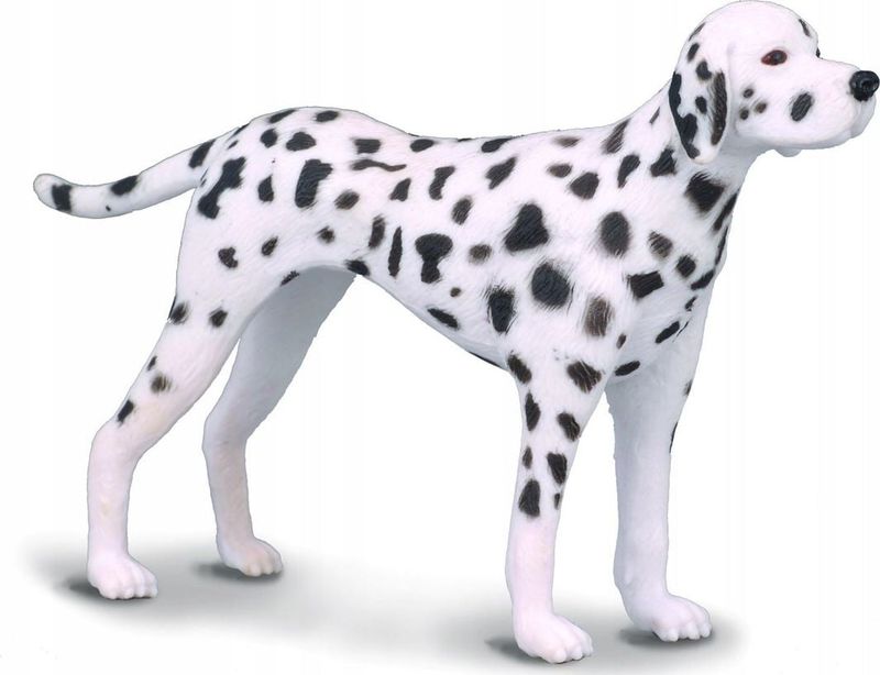 Figurine Collecta Dalmatian Dog M, qen dalmatian, shumëngjyrëshe