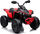 Quad elektrik për kalamoj CAN-AM Renegade, me telekomandë 2.4G, me drita LED, i kuq