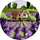 Set pikturimi me numra Twoje Hobby Lavender House 40, i rrumbullakët, 40 cm