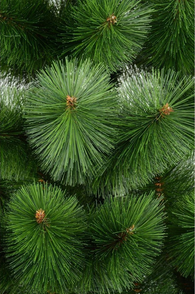 Pemë artificiale Vitit të Ri Klara Line Pine, 220 cm, PVC, jeshile