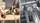 Blender dore Bosch MSM4B623, 1000W, me grirëse dhe shtypëse, i bardhë