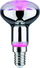 Llambë për rritje bimësh Paulmann LED Fil Plant R50 E14 (PL28734), 4W