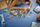Lodër ndërtuese LEGO 42699 Beach House with Seals, shtëpi plazhi, me foka, shumëngjyrëshe
