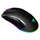 Maus Patriot Viper V551, i zi