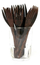 Pirun Ebony Tropikalia, 16 cm