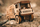 Puzzle 3D druri Eco Wood Art MAZ 5309RR, 306 copa, shkallë 1:20, ngjyrë druri natyrale