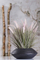 Bimë artificiale Emerald Pennisetum, 71 cm, për zbukurim, jeshile