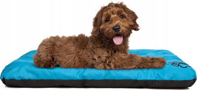 Shtrat për qen Reedog Eco Blue, madhësia L, blu