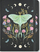 Дневник Luna Moth Journal, тетратка со линии, стандардна форма, во повеќе бои