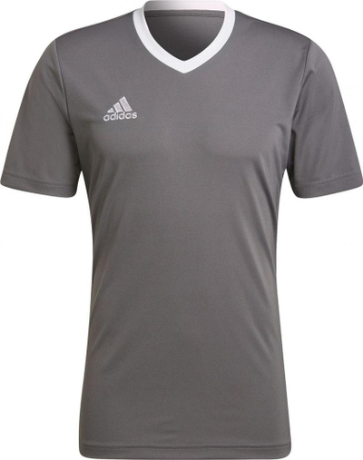 Maicë për meshkuj Adidas ENTRADA 22 JSY Y HE1574 HE1574, M, e hirtë