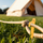Kunja çadre Royokamp, set me 6 copë, 22 cm, plastike, të verdha