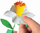 Set kreativ për lule Clementoni Make Your Flower Daffodil, 2 lule, për kalamaj 7+