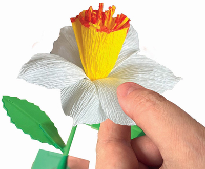 Set kreativ për lule Clementoni Make Your Flower Daffodil, 2 lule, për kalamaj 7+