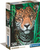 Puzzle Clementoni Jaguar në Xhungël Small Box, 500 copa, shumëngjyrësh