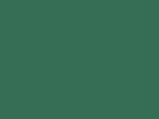 Бристол картон B2 DAS, 270g, 700x500mm, зелен