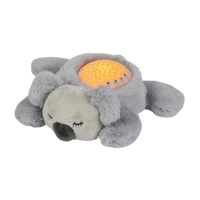 Drite nate - Koala