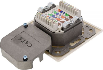 Fole muri InLine Cat.6, 2x RJ45 (75602K), e bardhë 