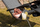 Karrige Saska Garden Lounger, e palosshme (1032320), 175x52 / 65x110cm, e hirtë