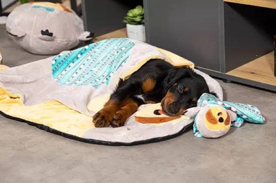Lodër pelushi për qen Zolux Chiquitos Sloth Blanket, material i ricikluar, përtypje dhe batanije, shumëngjyrëshe