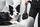 Fshesë me korrent Concept Solution Furious Animal VP5151, 800W, 2L, e kuqe