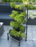 Set kopshti vertikal Nature Vertical Garden Mobile, me rrota, shumë nivele, ngjyrë e zezë