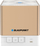 Altoparlant Blaupunkt BT02GOLD