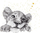 Kartolinë Clear Creation Gilded Square CL3810_BL Lion, katrore, me zarf