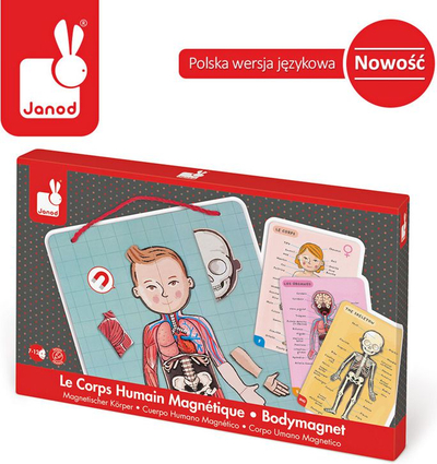 Lojë magnetike edukative Janod Body Magnet, 76 copa, për kalamoj 7+