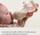 Biberon Canpol Babies S-Shape Anti Colic, 310 ml, gojë e gjerë, transparent