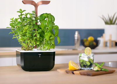 Vazo inteligjente për bimë Véritable Exky Smart, me ndriçim automatik, kapacitet 2 Lingots, black copper
