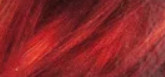 Ngjyrë për flokë L'Oreal Paris Colorista Permanent Gel, Brightred