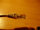 Kabllo PremiumCord UTP RJ45-RJ45, 5m, e hirtë