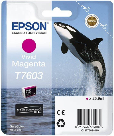 Ngjyrë Epson T7603 UltraChrome HD, vjollcë