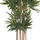 Bimë dekorative sintetike HM4737 Bamboo, 200cm, me vazo, jeshile
