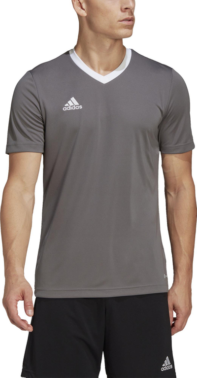 Bluzë sportive adidas Entrada 22 për burra HE1574, poliester i ricikluar, teknologji Aeroready, gri