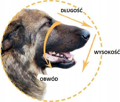 Gozhdë metalike për qen Dino 3314/B, numri 6, për Shepherd, ngjyrë kafe